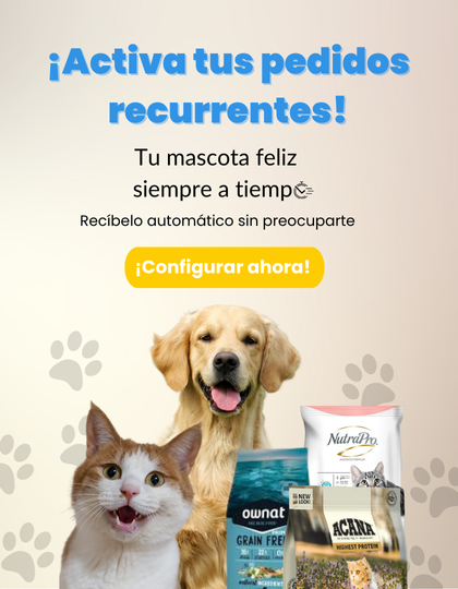 Pedidos recurrentes